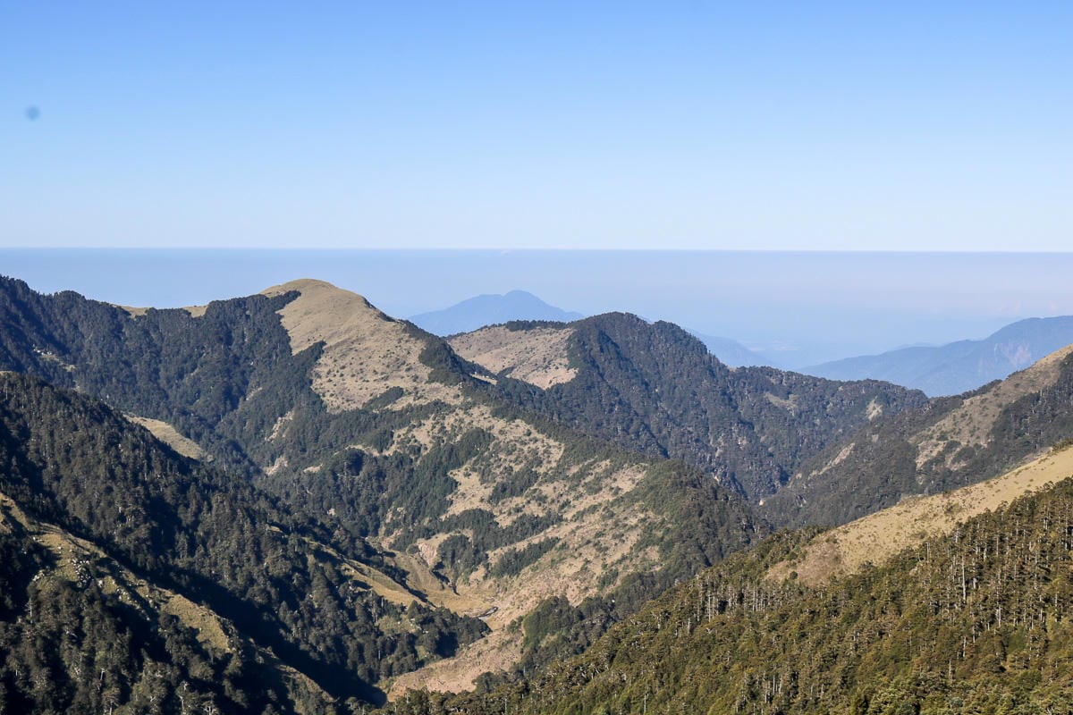 合歡北峰縱看中央山脈雪山山脈 杜鵑花季這樣美
