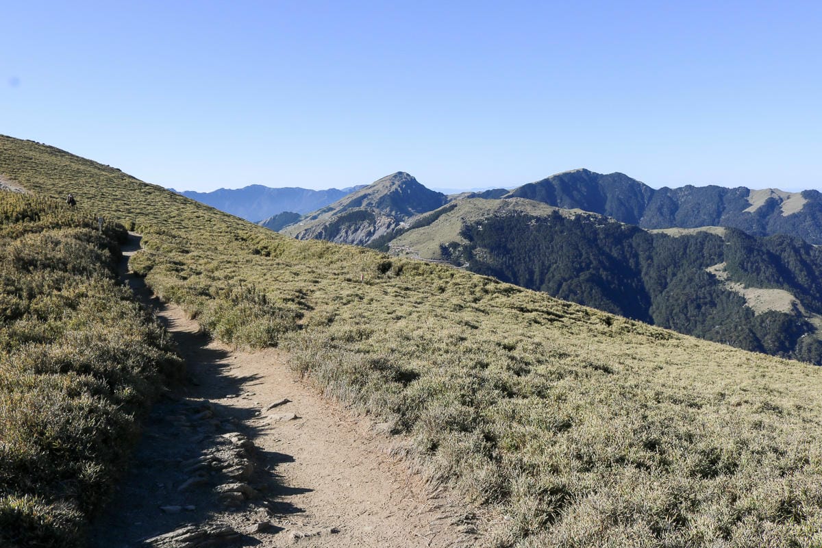 合歡北峰縱看中央山脈雪山山脈 杜鵑花季這樣美