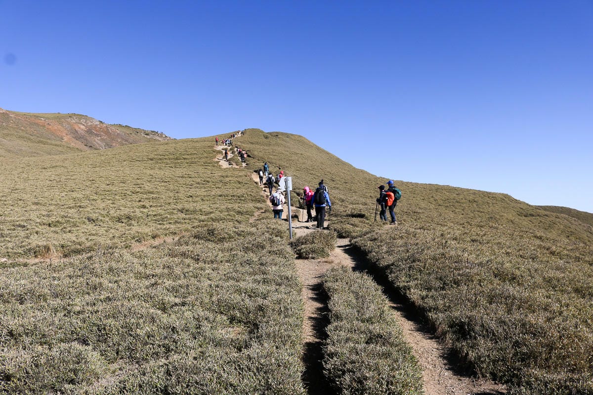 合歡北峰縱看中央山脈雪山山脈 杜鵑花季這樣美