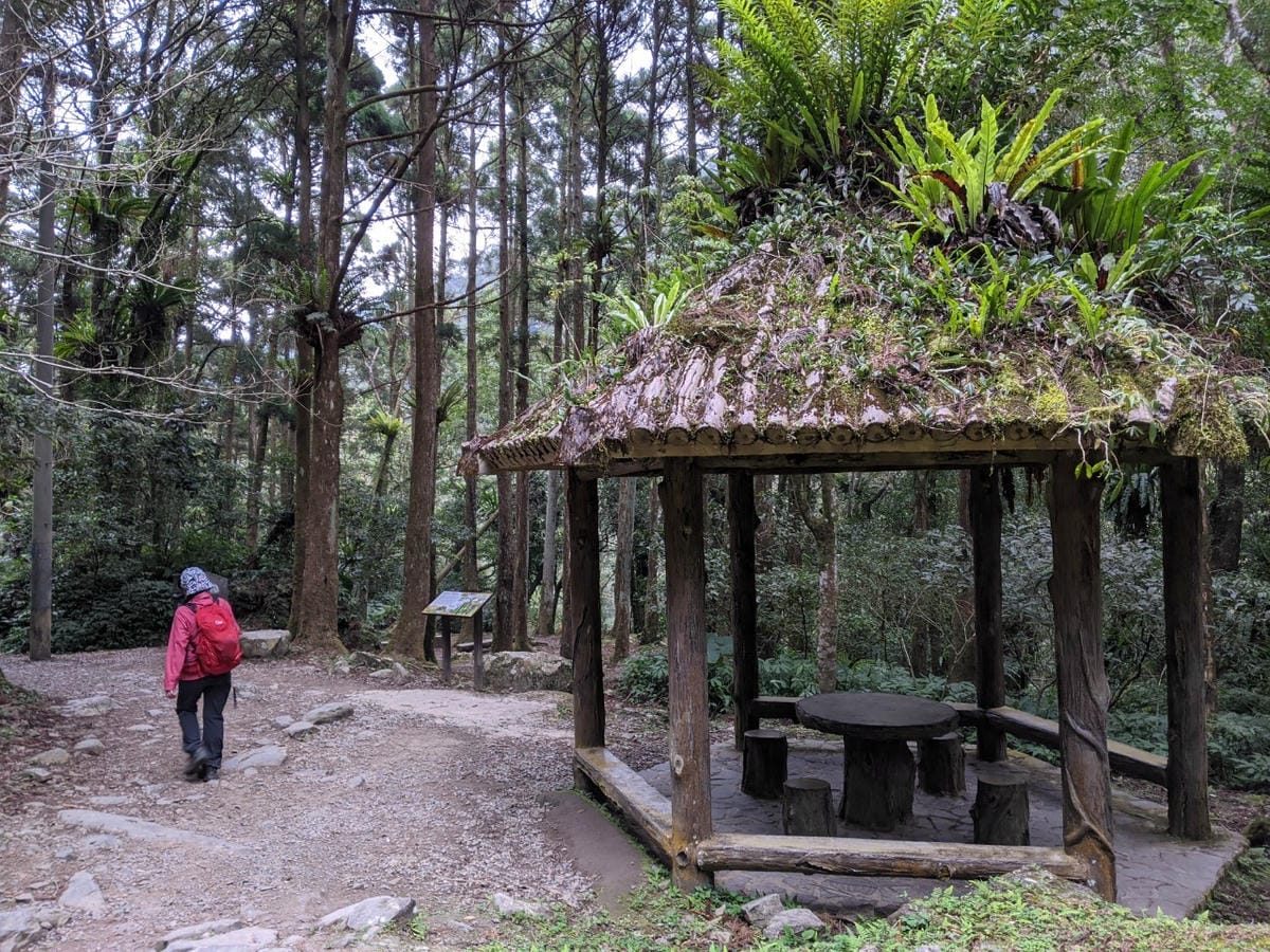 東滿連走 東眼山滿月圓不同點進出三峽餐廳540土雞