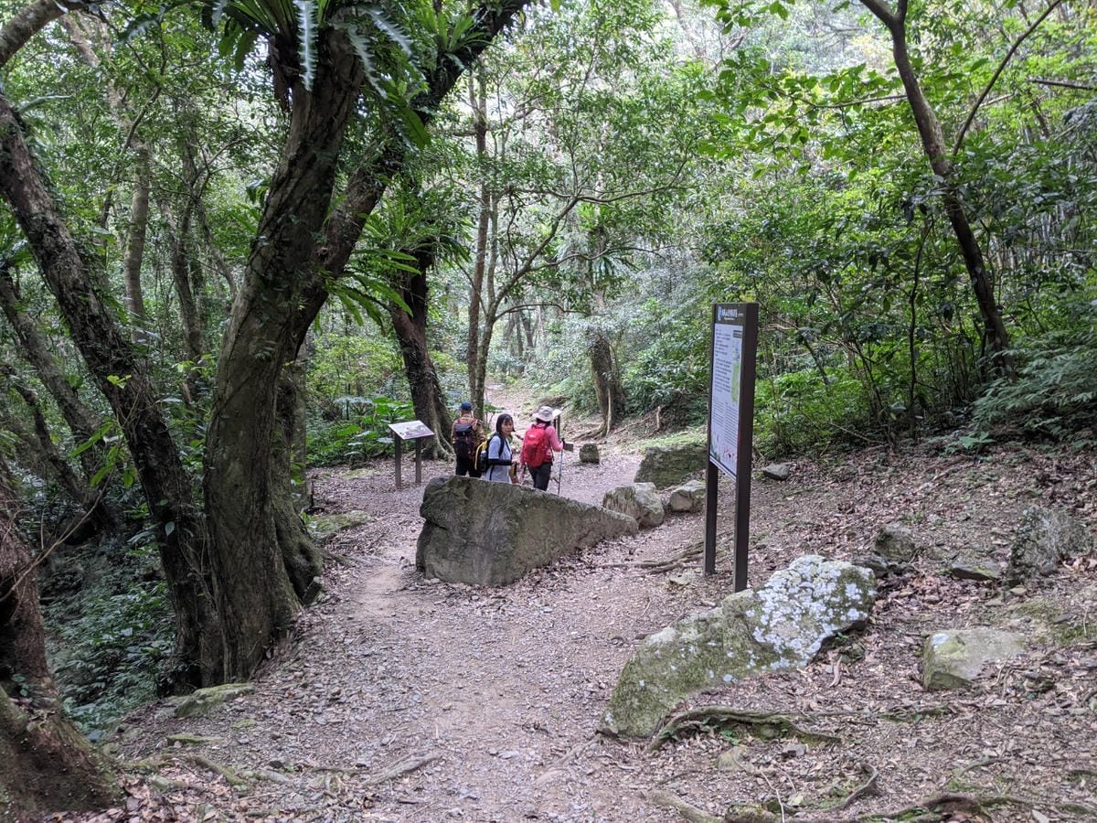 東滿連走 東眼山滿月圓不同點進出三峽餐廳540土雞