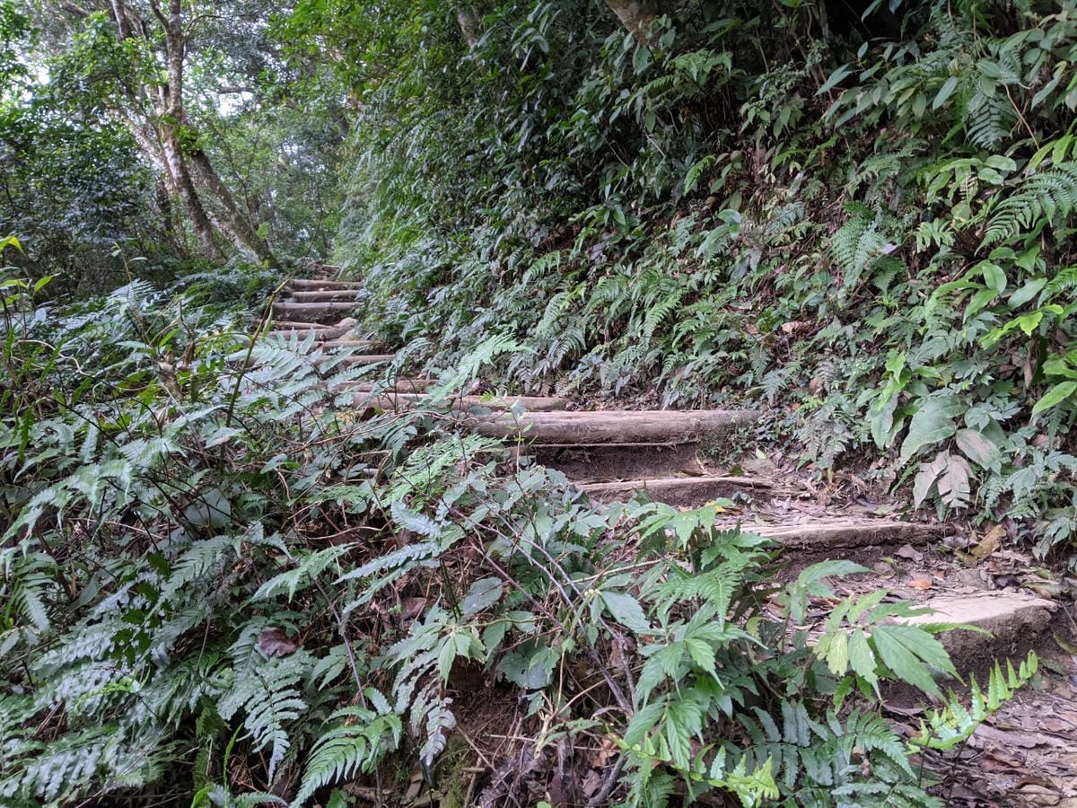東滿連走 東眼山滿月圓不同點進出三峽餐廳540土雞