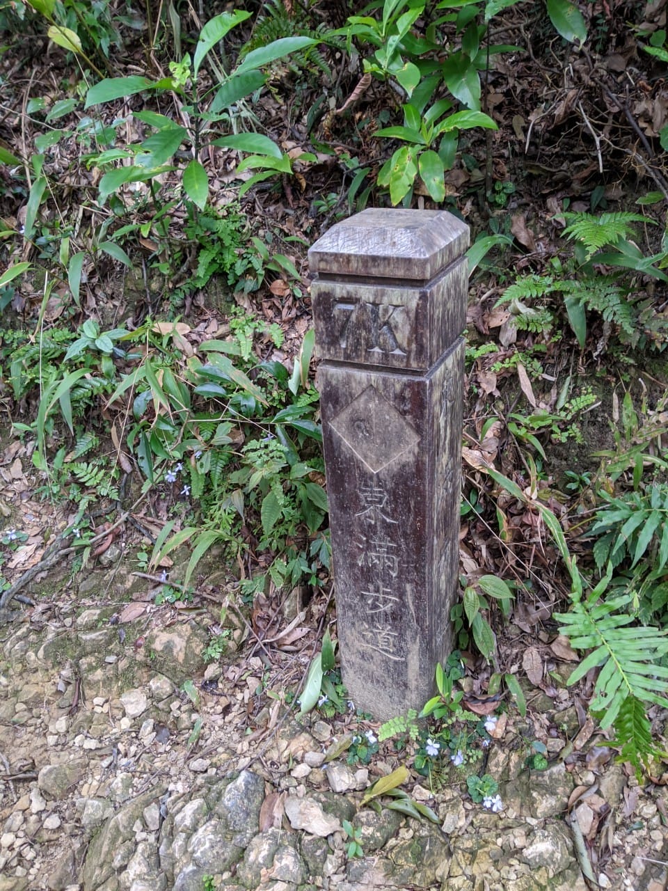 東滿連走 東眼山滿月圓不同點進出三峽餐廳540土雞