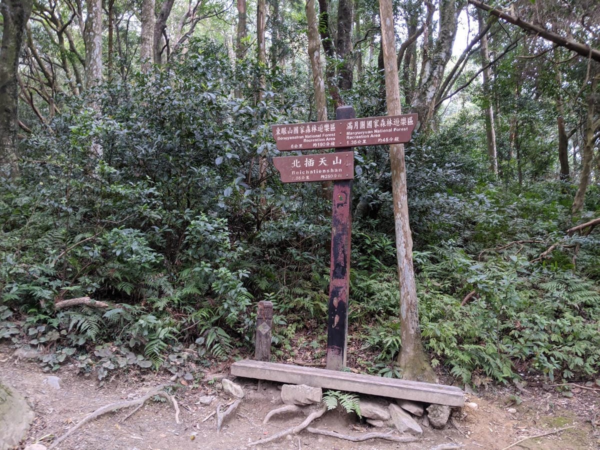 東滿連走 東眼山滿月圓不同點進出三峽餐廳540土雞