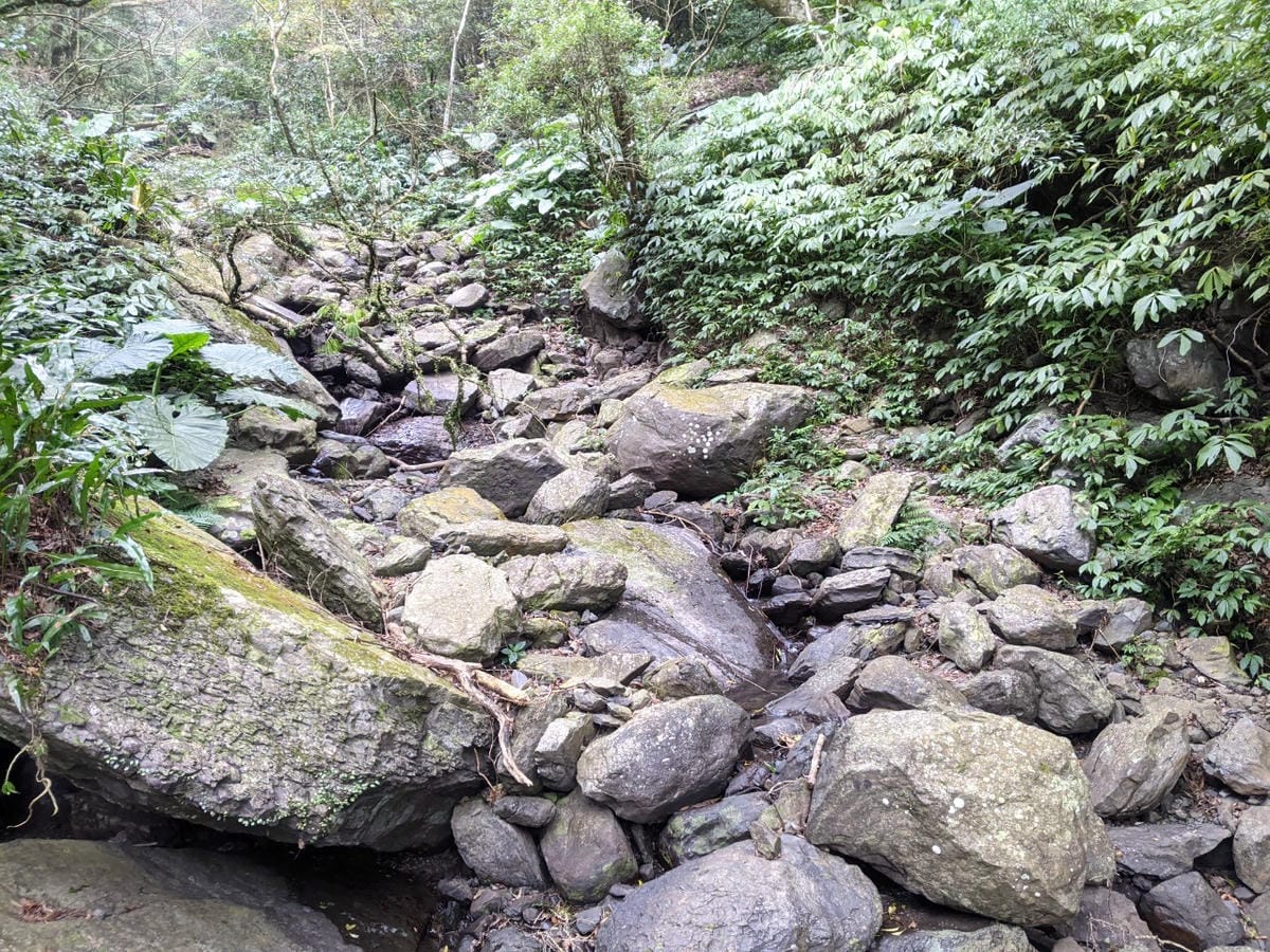 東滿連走 東眼山滿月圓不同點進出三峽餐廳540土雞