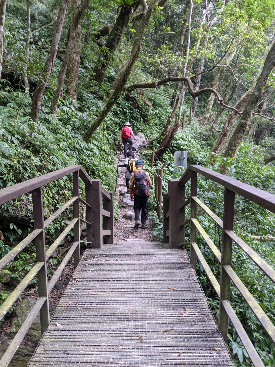 東滿連走 東眼山滿月圓不同點進出三峽餐廳540土雞