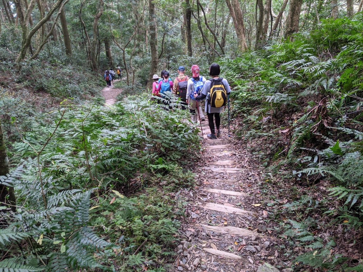 東滿連走 東眼山滿月圓不同點進出三峽餐廳540土雞
