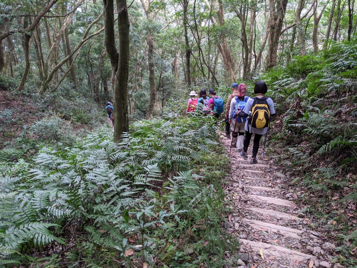 東滿連走 東眼山滿月圓不同點進出三峽餐廳540土雞