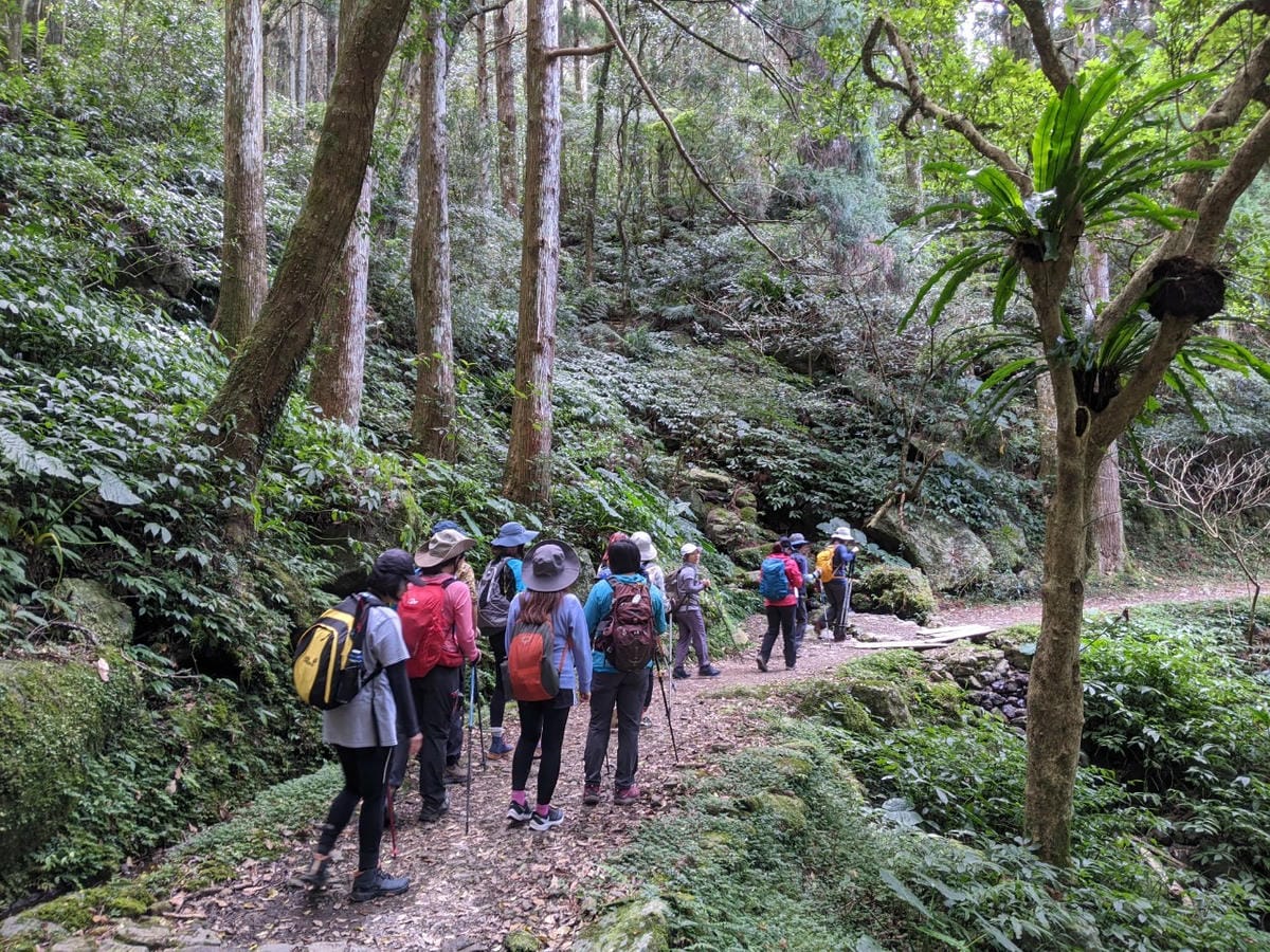 東滿連走 東眼山滿月圓不同點進出三峽餐廳540土雞