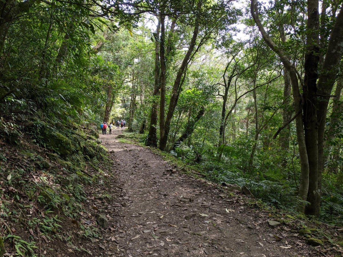 東滿連走 東眼山滿月圓不同點進出三峽餐廳540土雞