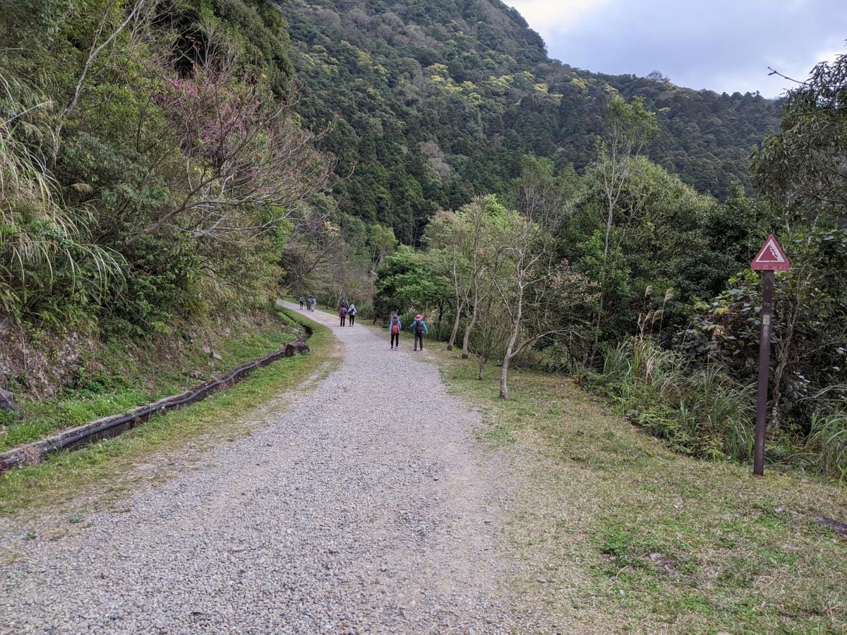 東滿連走 東眼山滿月圓不同點進出三峽餐廳540土雞
