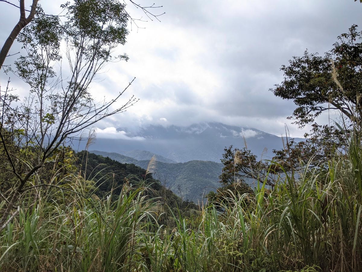 東滿連走 東眼山滿月圓不同點進出三峽餐廳540土雞