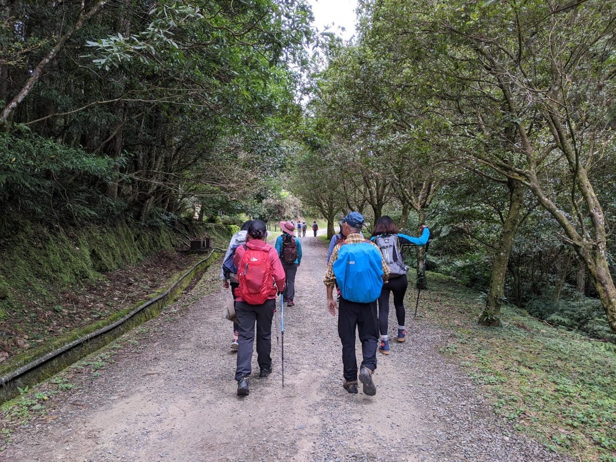 東滿連走 東眼山滿月圓不同點進出三峽餐廳540土雞