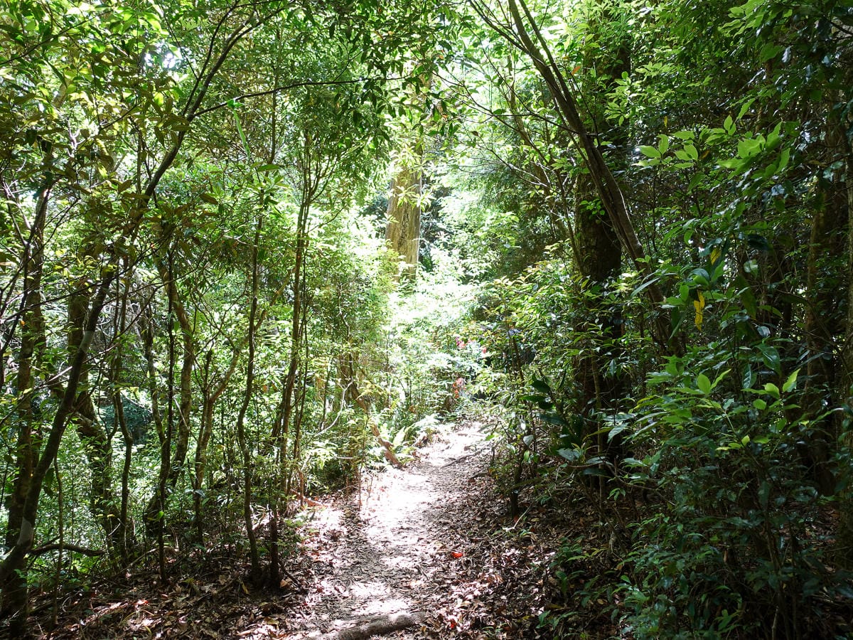 爬山新聞堅持登白姑大山 出事染疫誰買單？全民買單