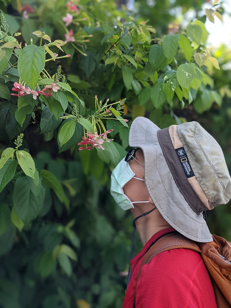 台北大縱走劍潭支線秘境 圓山水神社小百岳劍潭山 - 第4張圖 台北大縱走劍潭支線秘境 圓山水神社小百岳劍潭山