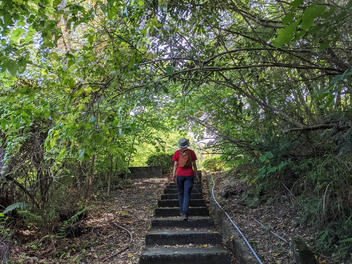 台北大縱走劍潭支線秘境 圓山水神社小百岳劍潭山 - 第6張圖 台北大縱走劍潭支線秘境 圓山水神社小百岳劍潭山