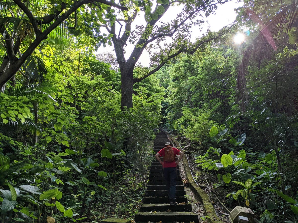 台北大縱走劍潭支線秘境 圓山水神社小百岳劍潭山 - 第7張圖 台北大縱走劍潭支線秘境 圓山水神社小百岳劍潭山