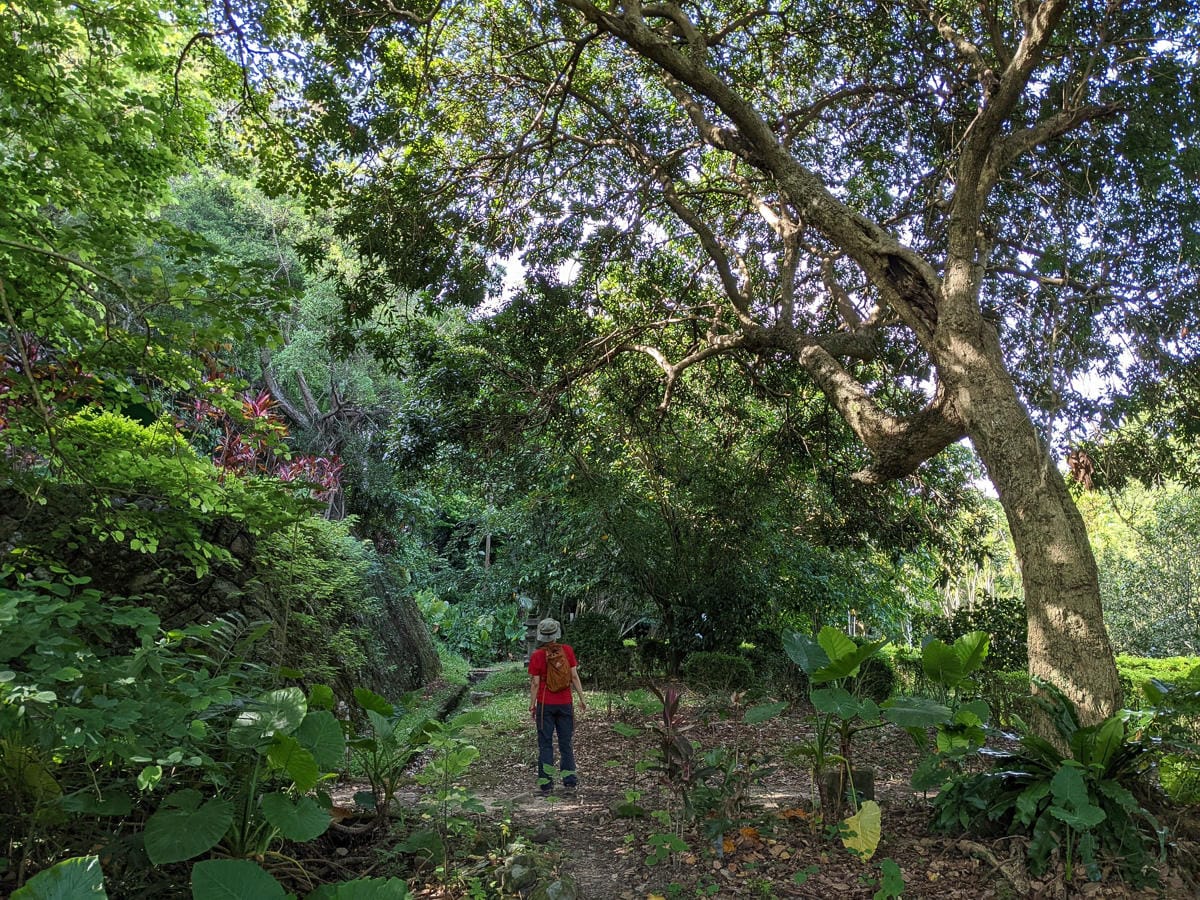 台北大縱走劍潭支線秘境 圓山水神社小百岳劍潭山 - 第13張圖 台北大縱走劍潭支線秘境 圓山水神社小百岳劍潭山