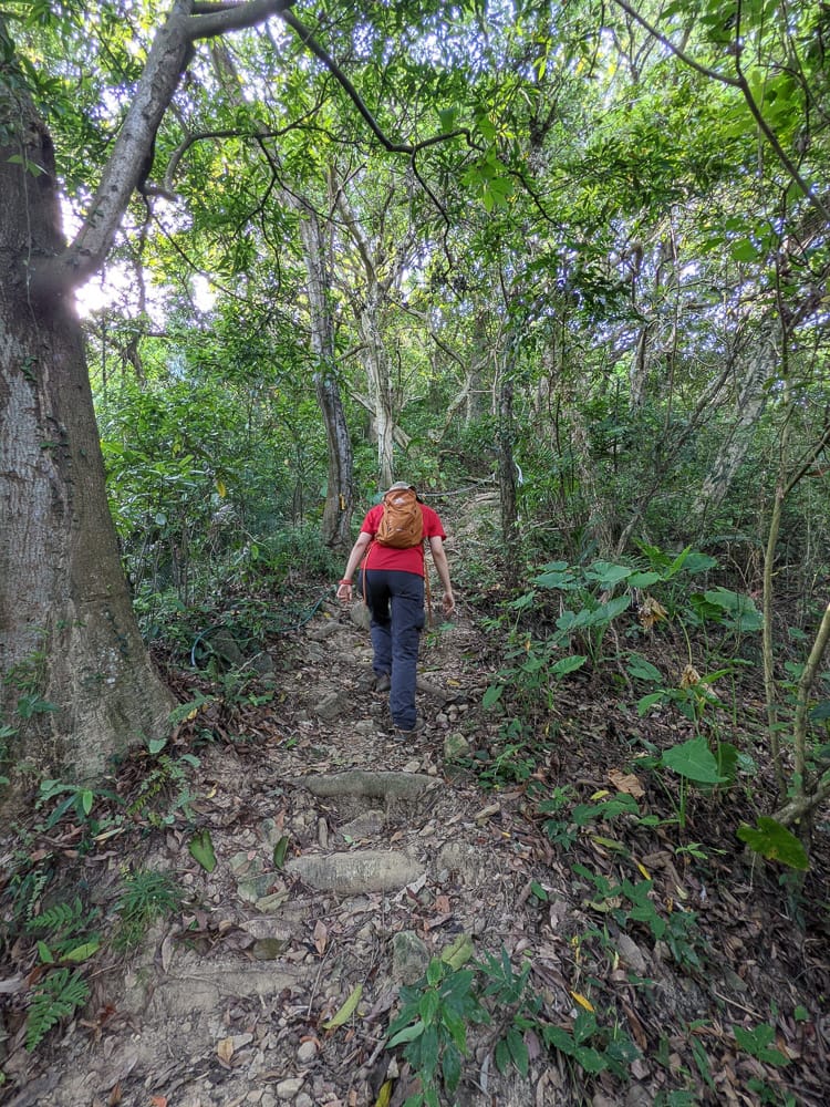 台北大縱走劍潭支線秘境 圓山水神社小百岳劍潭山 - 第21張圖 台北大縱走劍潭支線秘境 圓山水神社小百岳劍潭山