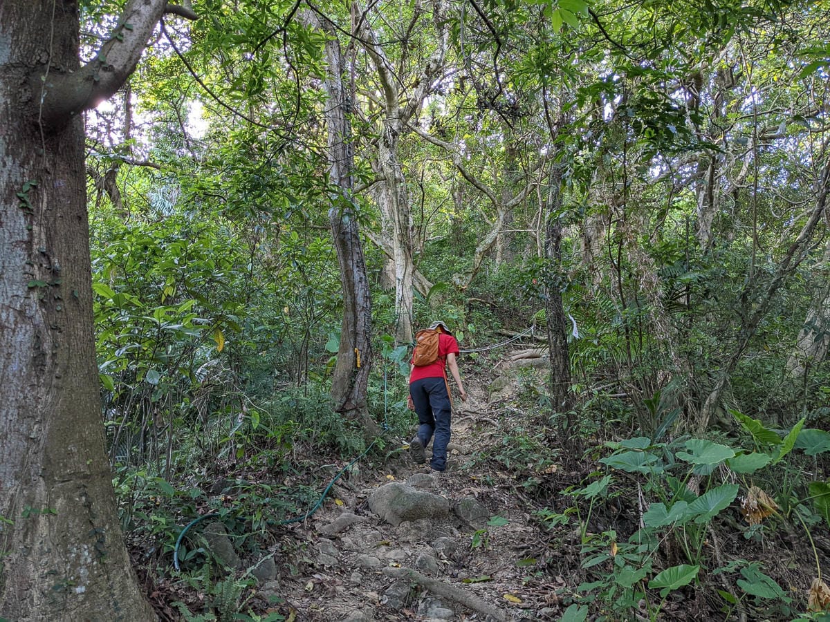 台北大縱走劍潭支線秘境 圓山水神社小百岳劍潭山 - 第22張圖 台北大縱走劍潭支線秘境 圓山水神社小百岳劍潭山