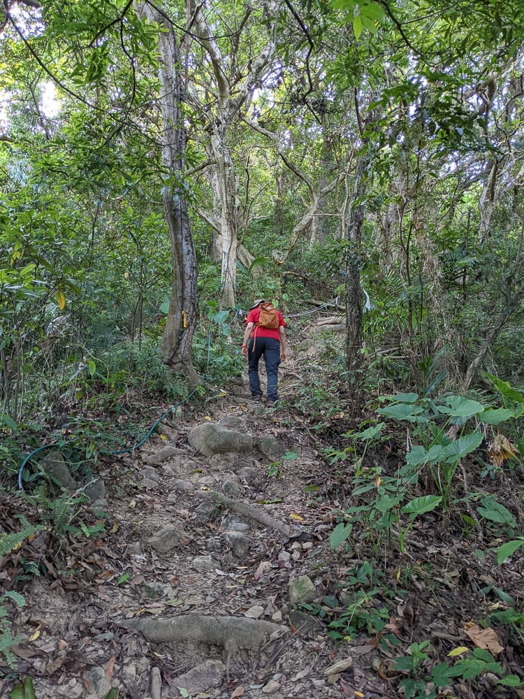 台北大縱走劍潭支線秘境 圓山水神社小百岳劍潭山 - 第23張圖 台北大縱走劍潭支線秘境 圓山水神社小百岳劍潭山
