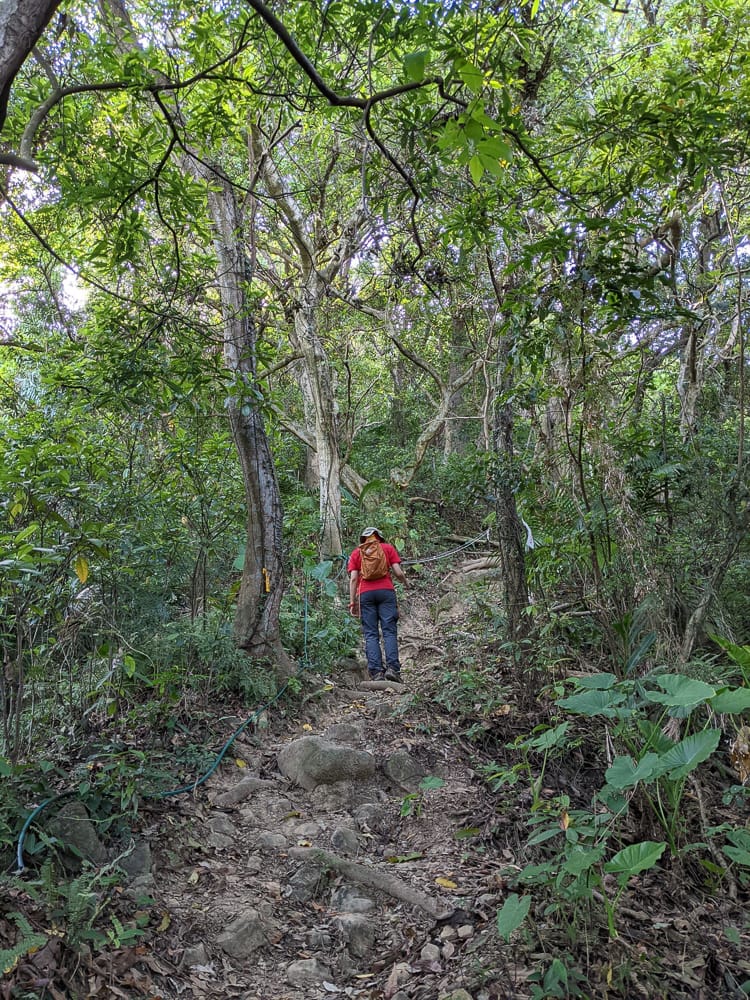 台北大縱走劍潭支線秘境 圓山水神社小百岳劍潭山 - 第24張圖 台北大縱走劍潭支線秘境 圓山水神社小百岳劍潭山