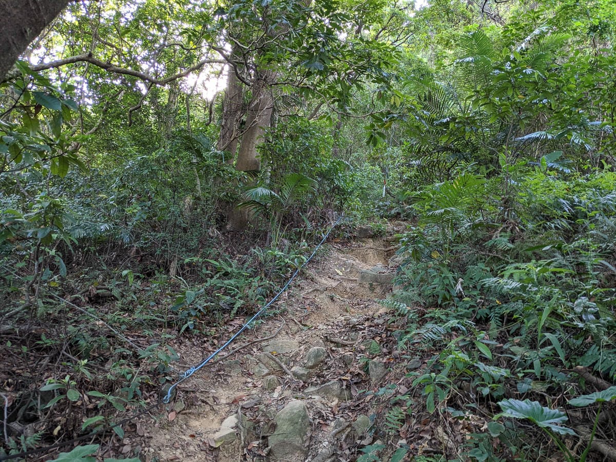 台北大縱走劍潭支線秘境 圓山水神社小百岳劍潭山 - 第26張圖 台北大縱走劍潭支線秘境 圓山水神社小百岳劍潭山