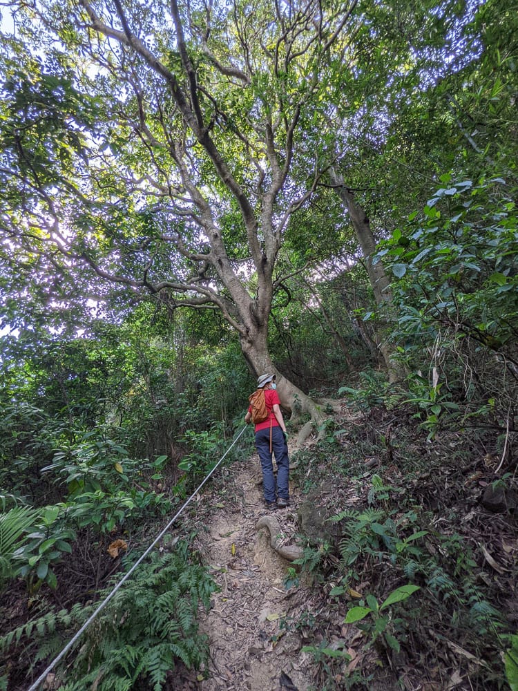 台北大縱走劍潭支線秘境 圓山水神社小百岳劍潭山 - 第27張圖 台北大縱走劍潭支線秘境 圓山水神社小百岳劍潭山