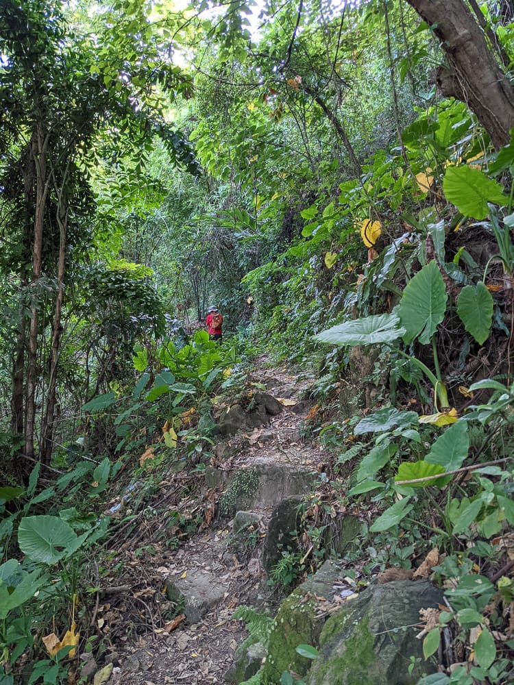 台北大縱走劍潭支線秘境 圓山水神社小百岳劍潭山 - 第28張圖 台北大縱走劍潭支線秘境 圓山水神社小百岳劍潭山