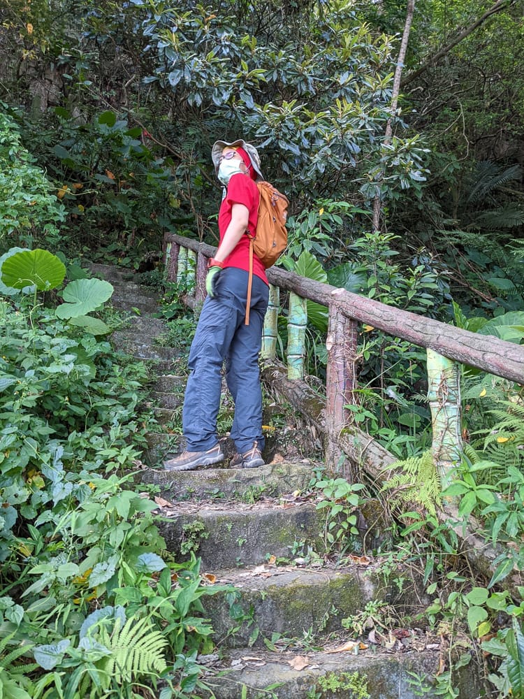 台北大縱走劍潭支線秘境 圓山水神社小百岳劍潭山 - 第30張圖 台北大縱走劍潭支線秘境 圓山水神社小百岳劍潭山