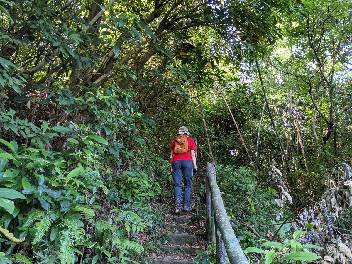 台北大縱走劍潭支線秘境 圓山水神社小百岳劍潭山 - 第37張圖 台北大縱走劍潭支線秘境 圓山水神社小百岳劍潭山