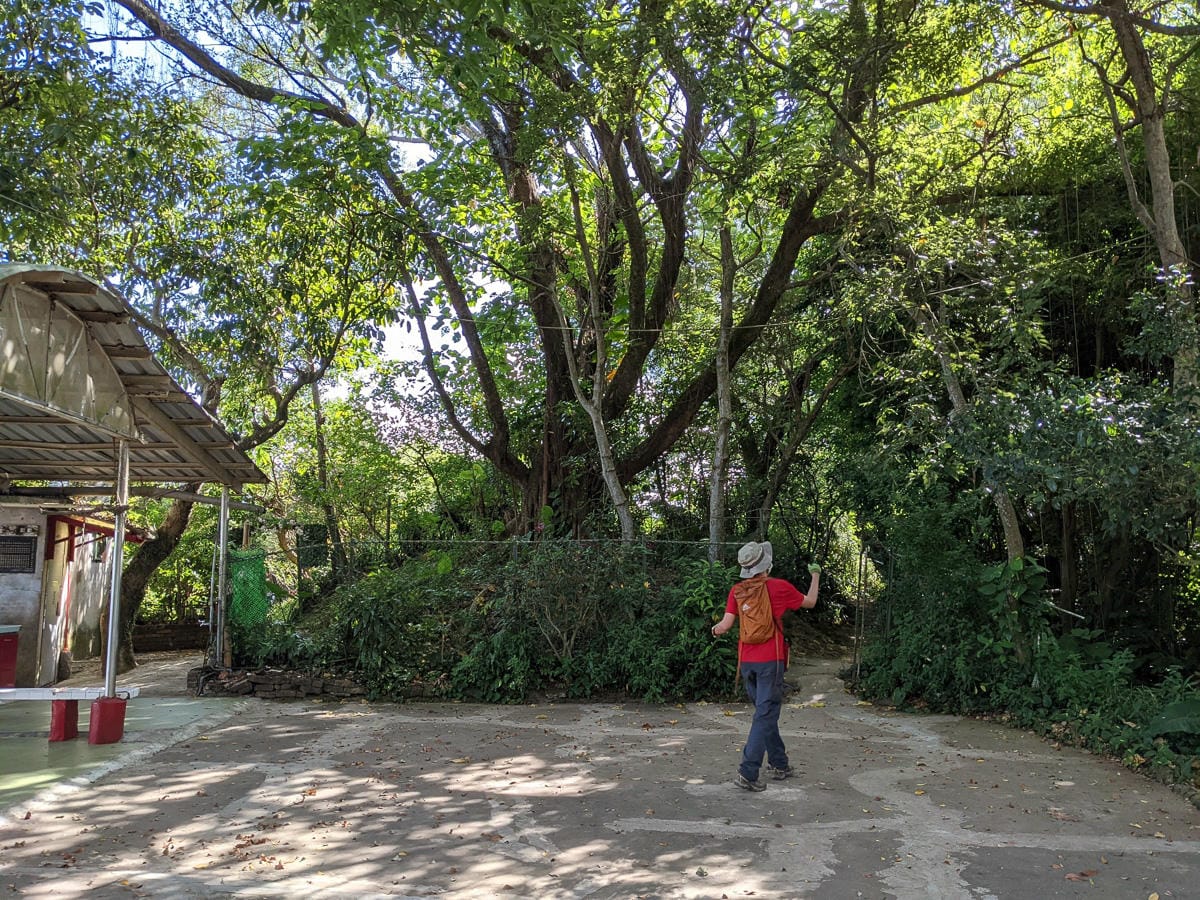 台北大縱走劍潭支線秘境 圓山水神社小百岳劍潭山 - 第43張圖 台北大縱走劍潭支線秘境 圓山水神社小百岳劍潭山