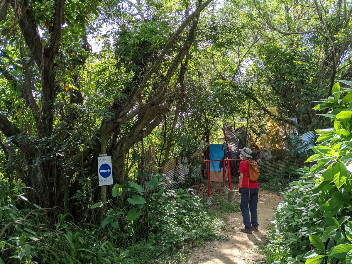 台北大縱走劍潭支線秘境 圓山水神社小百岳劍潭山 - 第46張圖 台北大縱走劍潭支線秘境 圓山水神社小百岳劍潭山