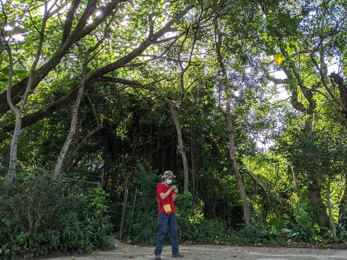 台北大縱走劍潭支線秘境 圓山水神社小百岳劍潭山 - 第51張圖 台北大縱走劍潭支線秘境 圓山水神社小百岳劍潭山