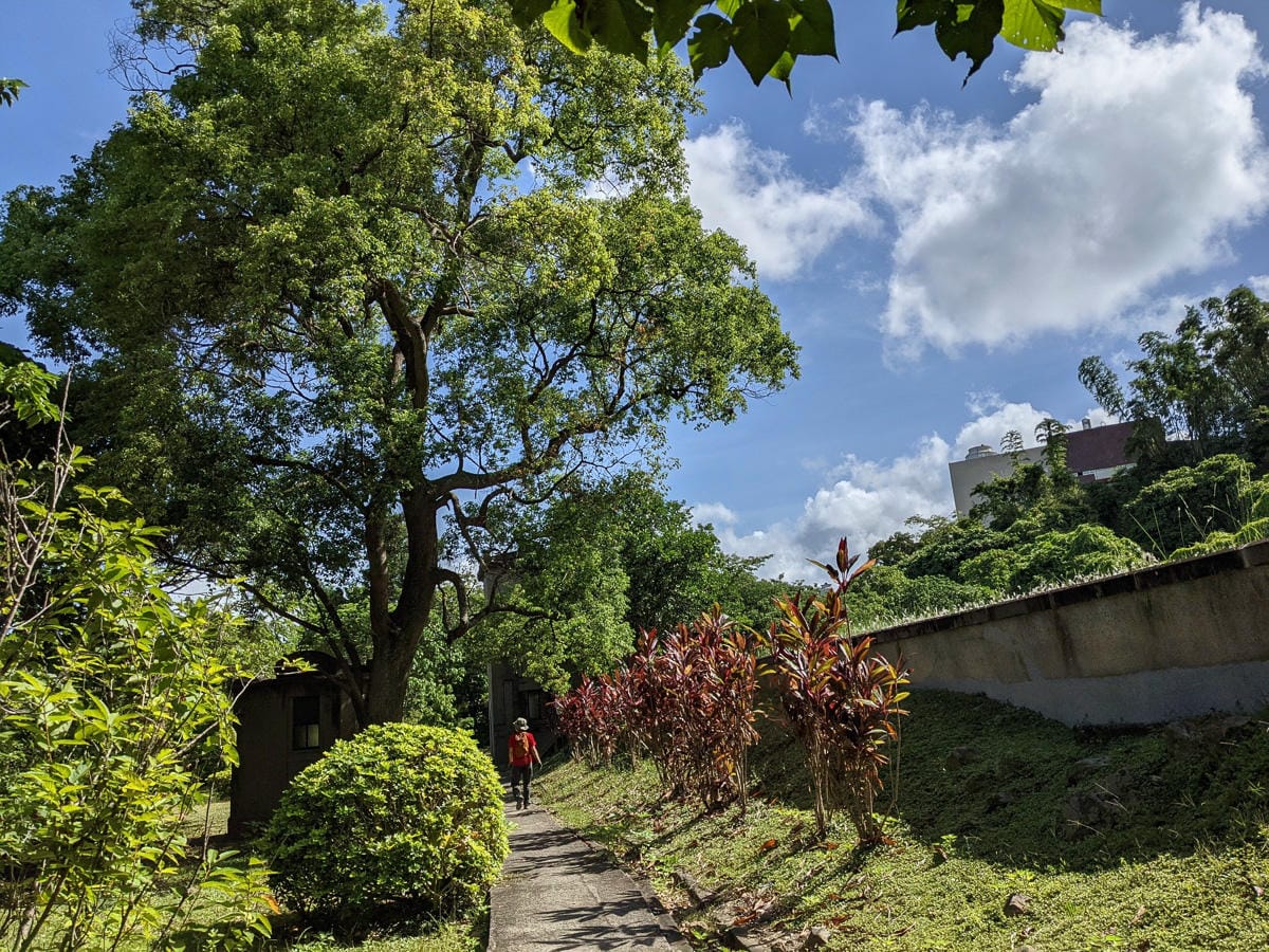 台北大縱走劍潭支線秘境 圓山水神社小百岳劍潭山 - 第52張圖 台北大縱走劍潭支線秘境 圓山水神社小百岳劍潭山