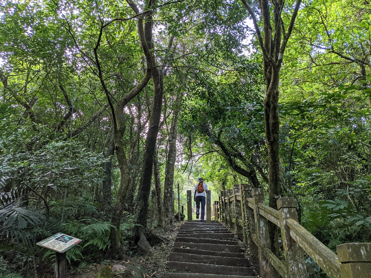 貢寮桃源谷草原 內寮上大里下桃源谷步道路線