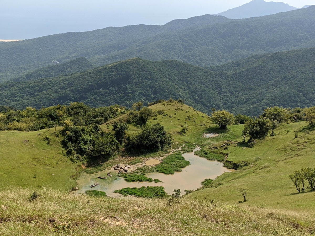 貢寮桃源谷草原 內寮上大里下桃源谷步道路線