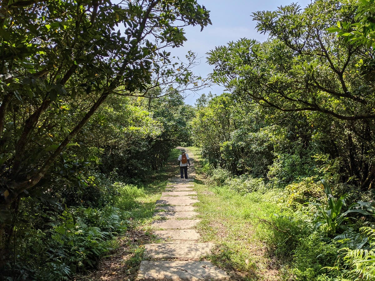 貢寮桃源谷草原 內寮上大里下桃源谷步道路線