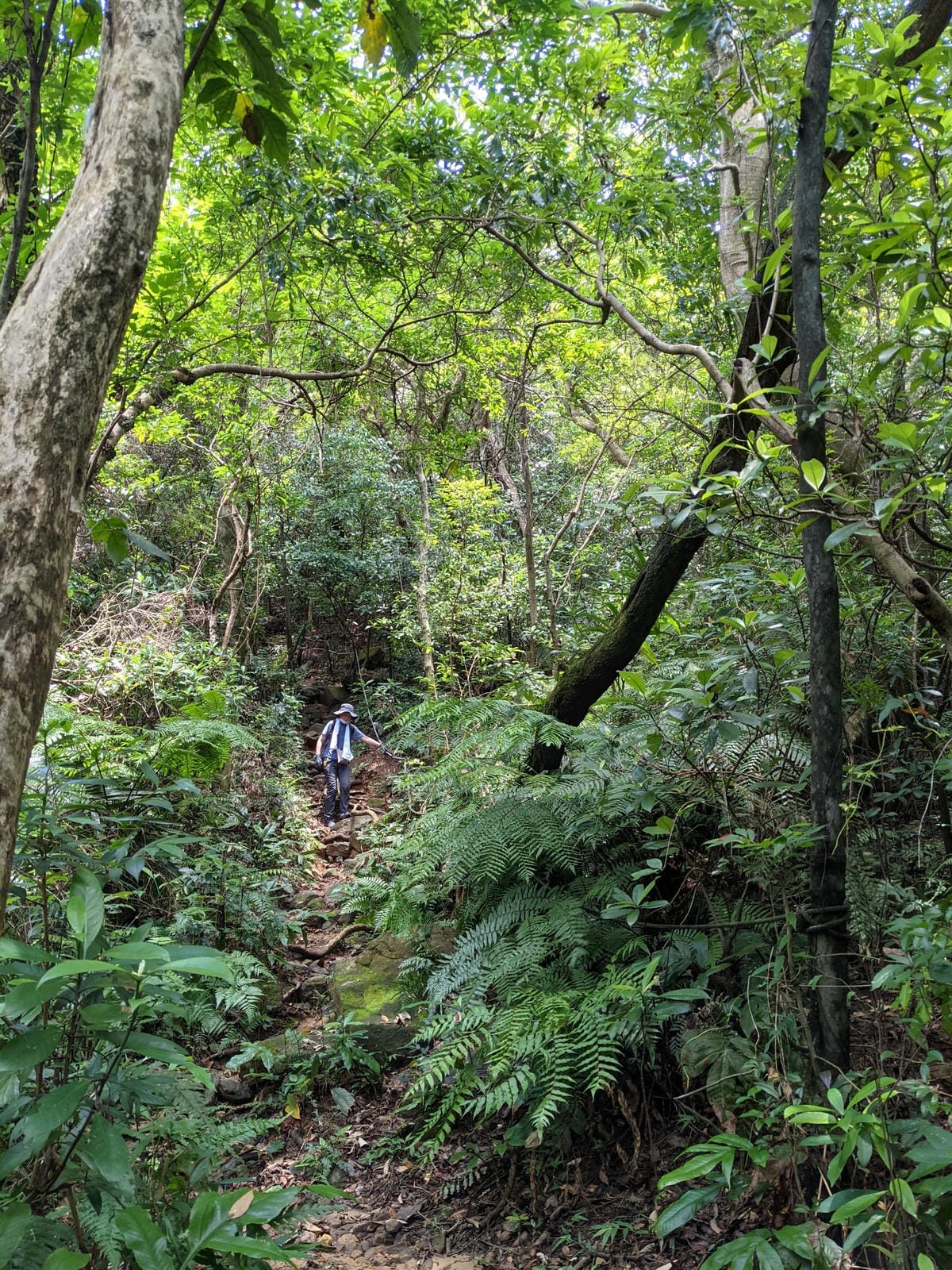 台北劍潭山親山步道拉繩 別有風情的老地方觀景平台 - 第3張圖 台北劍潭山親山步道拉繩 別有風情的老地方觀景平台