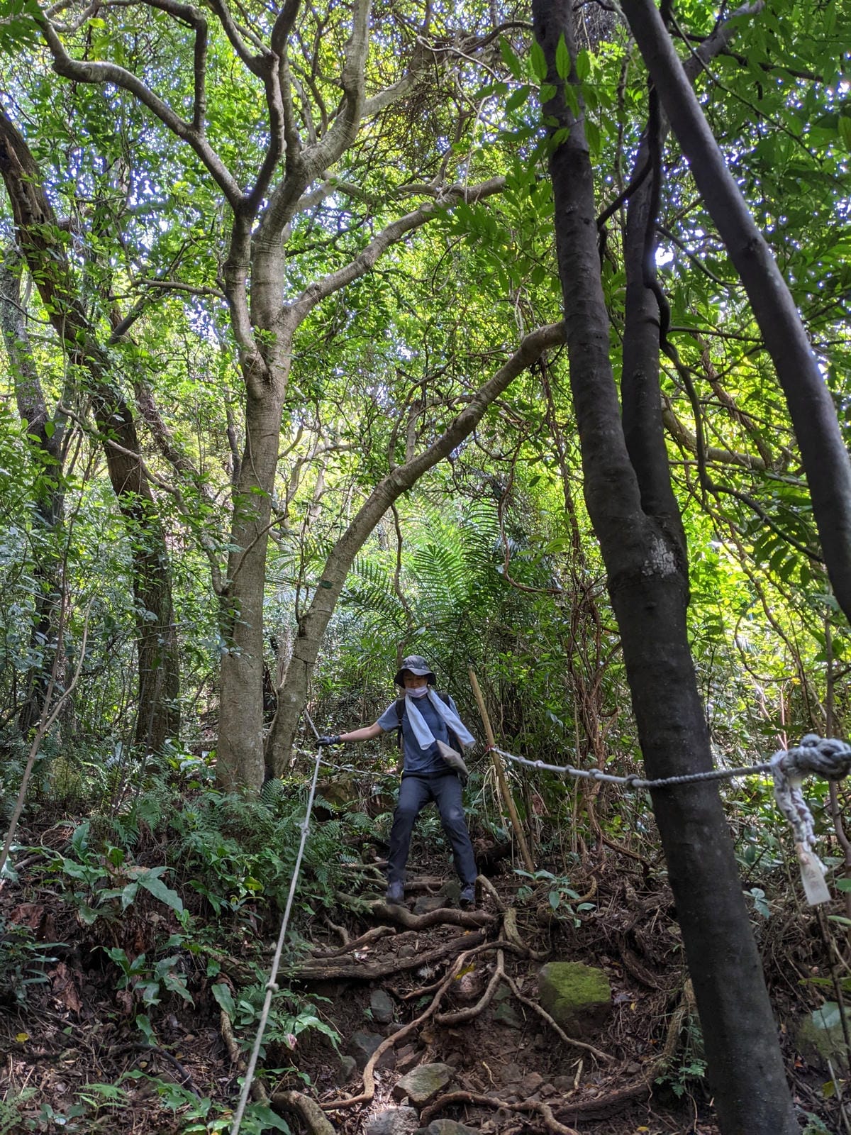 台北劍潭山親山步道拉繩 別有風情的老地方觀景平台 - 第4張圖 台北劍潭山親山步道拉繩 別有風情的老地方觀景平台