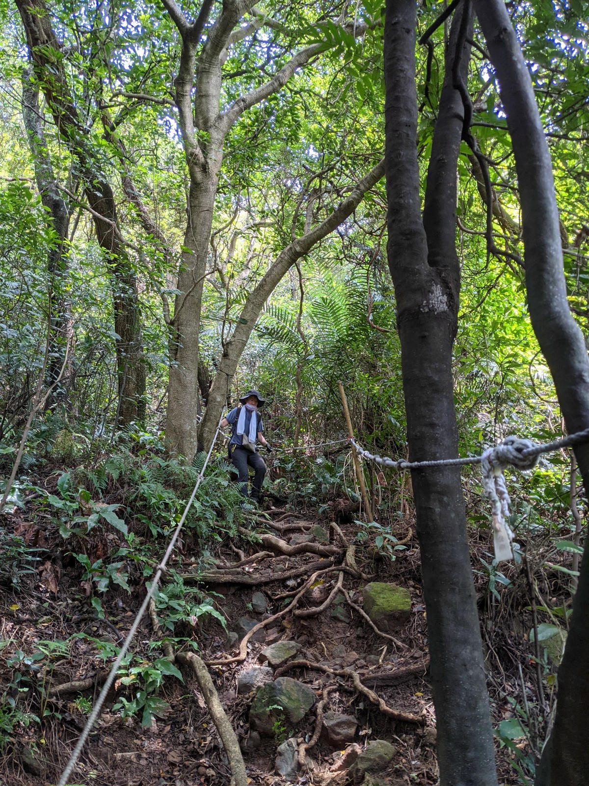 台北劍潭山親山步道拉繩 別有風情的老地方觀景平台 - 第6張圖 台北劍潭山親山步道拉繩 別有風情的老地方觀景平台