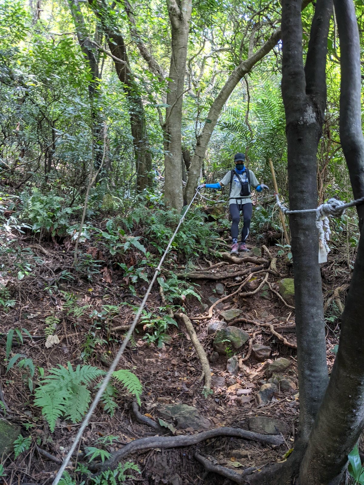 台北劍潭山親山步道拉繩 別有風情的老地方觀景平台 - 第7張圖 台北劍潭山親山步道拉繩 別有風情的老地方觀景平台