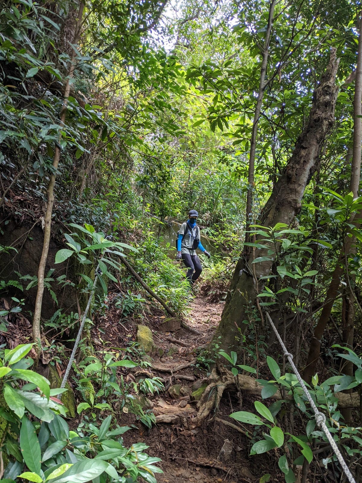 台北劍潭山親山步道拉繩 別有風情的老地方觀景平台 - 第8張圖 台北劍潭山親山步道拉繩 別有風情的老地方觀景平台