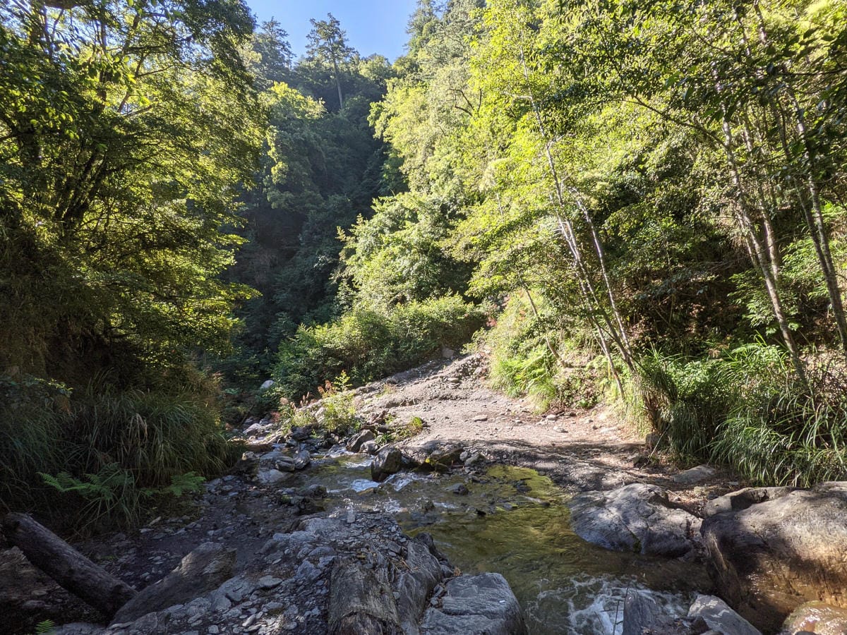 中橫四辣屏風山新路 全天候24小時人氣不間斷百岳高山