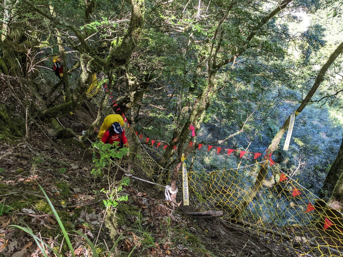 中橫四辣屏風山新路 全天候24小時人氣不間斷百岳高山