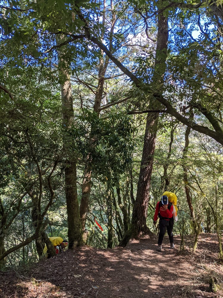 中橫四辣屏風山新路 全天候24小時人氣不間斷百岳高山