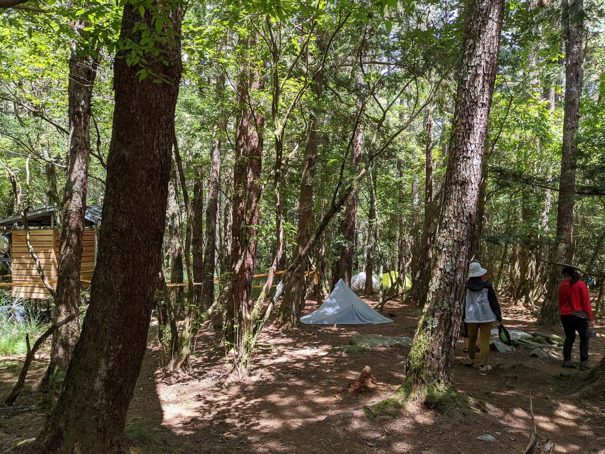 中橫四辣屏風山新路 全天候24小時人氣不間斷百岳高山