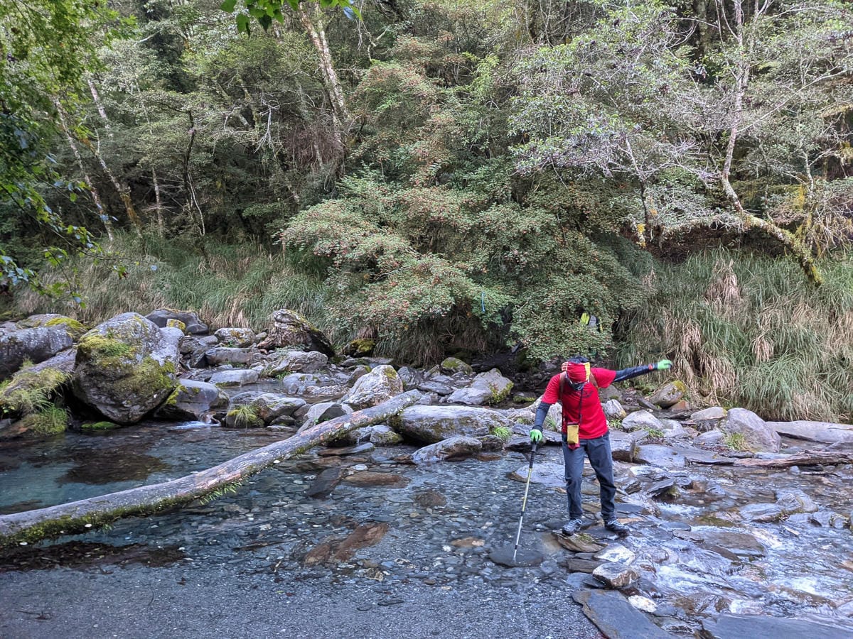中橫四辣屏風山新路 全天候24小時人氣不間斷百岳高山