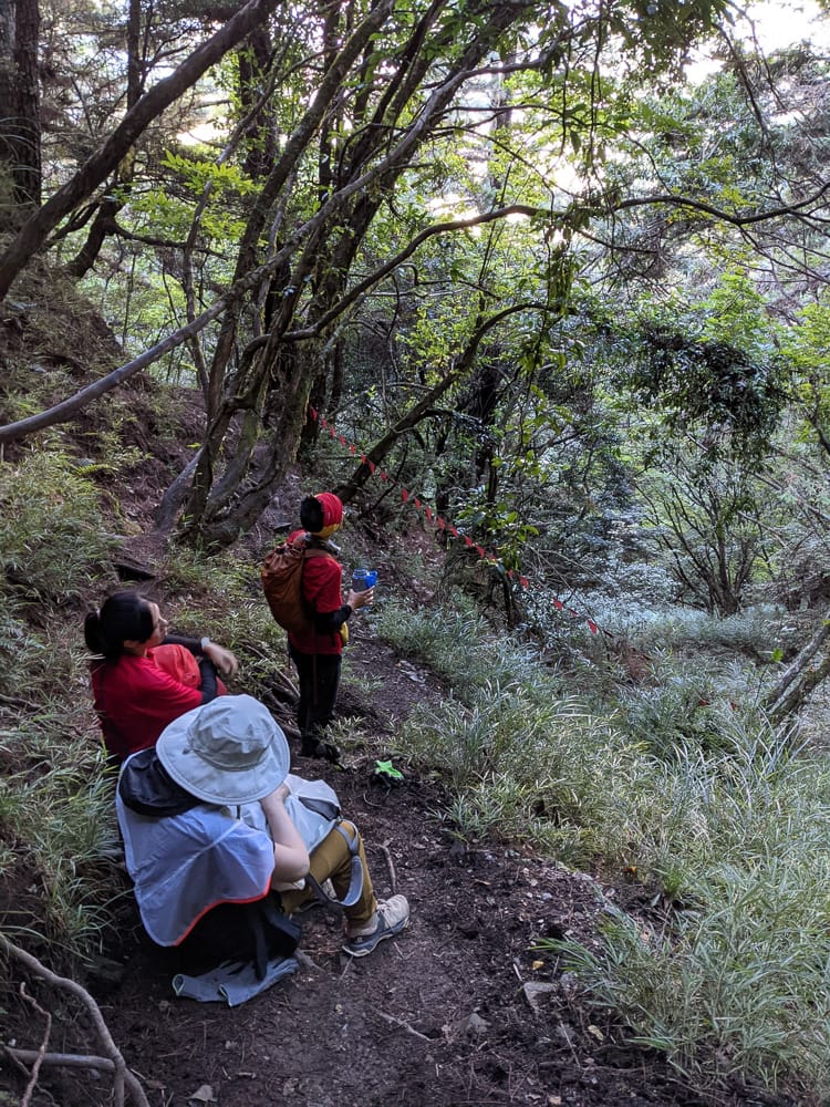 中橫四辣屏風山新路 全天候24小時人氣不間斷百岳高山