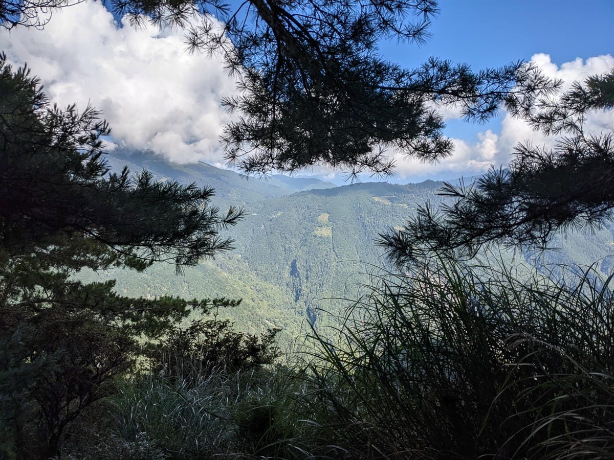 中橫四辣屏風山新路 全天候24小時人氣不間斷百岳高山